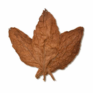 Burley Tobacco